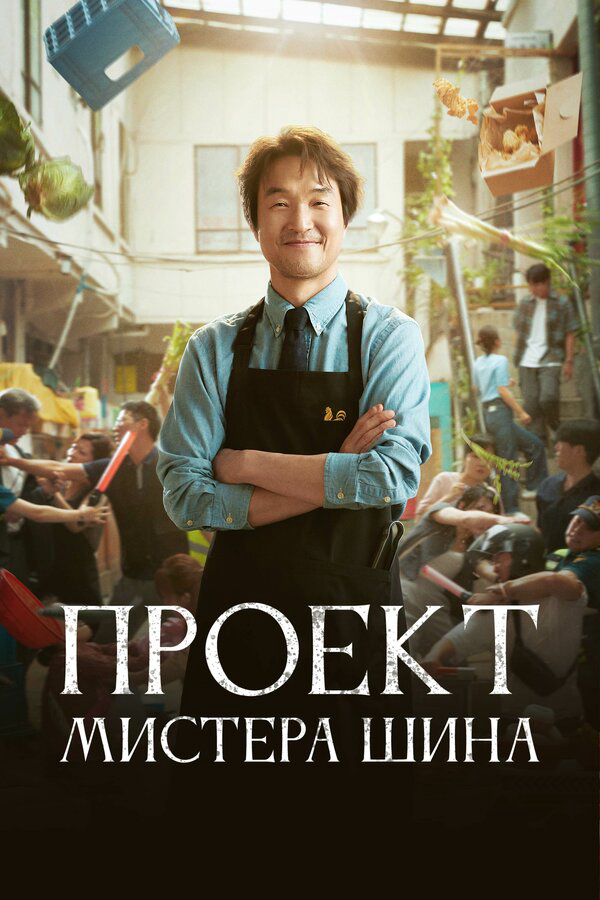 Проект мистера Щина постер
